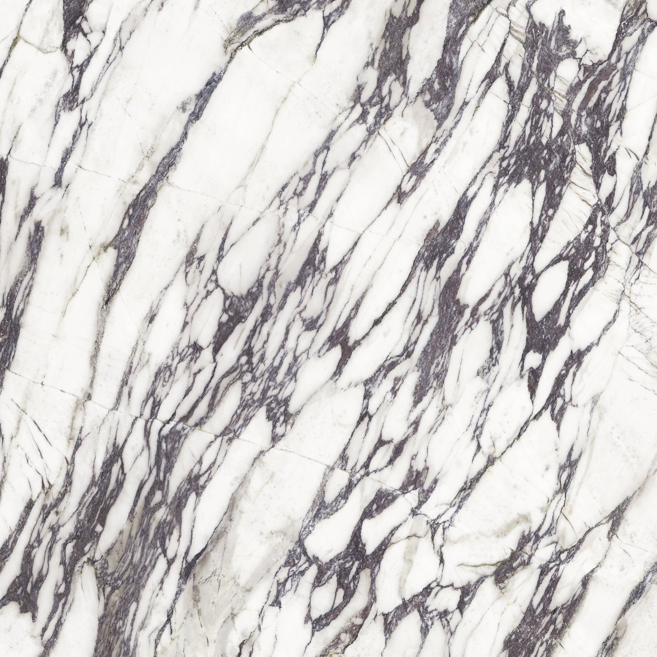 FIOR DI VIOLA Texture