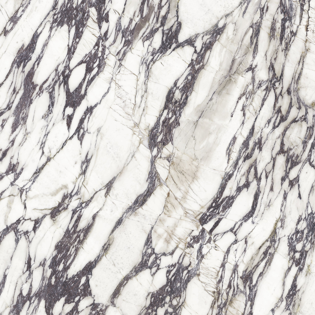 FIOR DI VIOLA Texture