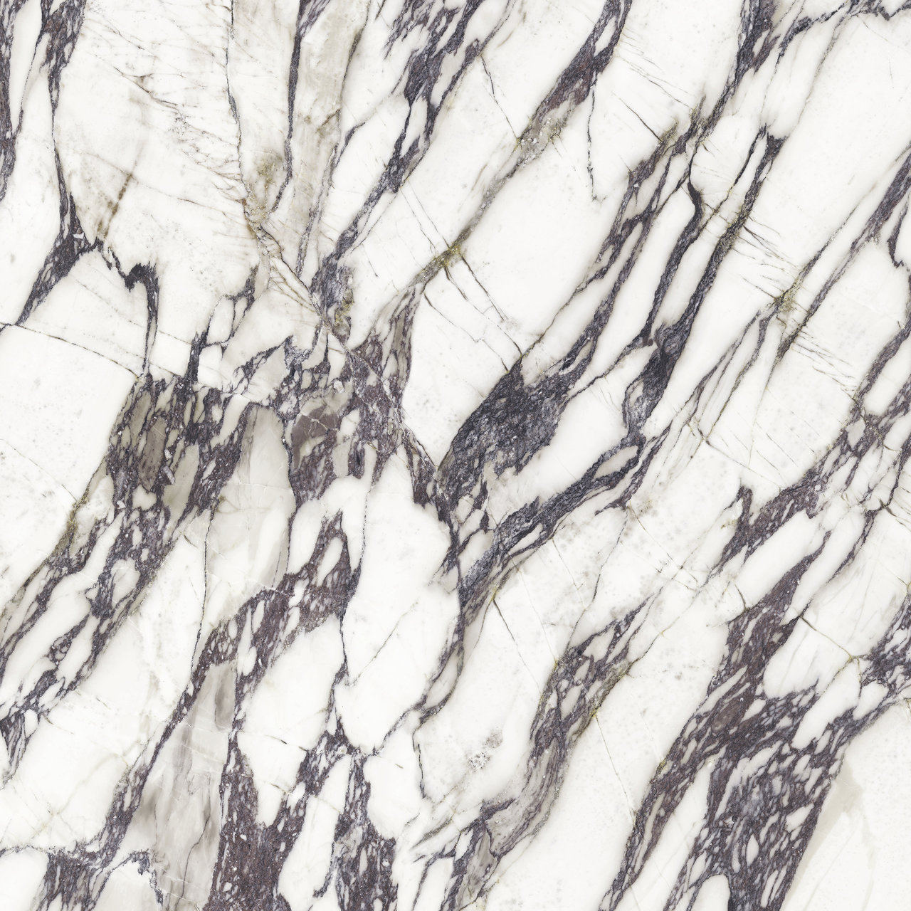 FIOR DI VIOLA Texture