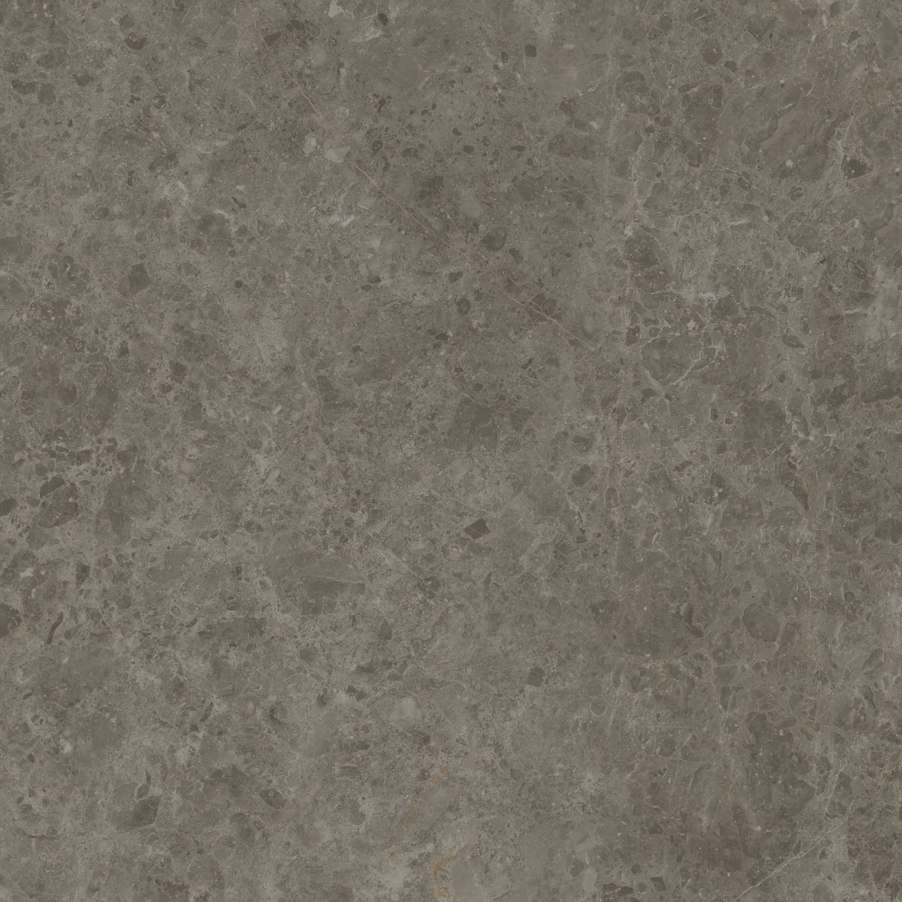 GRIGIO SAVELLI Texture